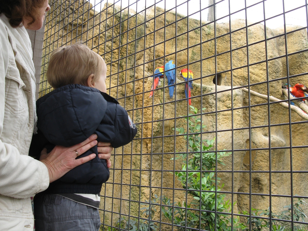 het opvragen van de foto is kennelijk mislukt