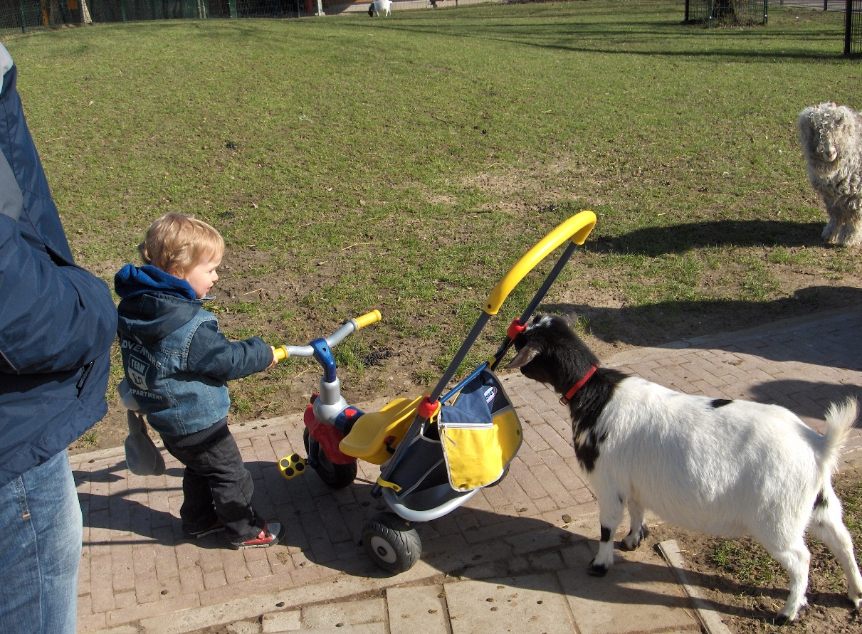 het opvragen van de foto is kennelijk mislukt